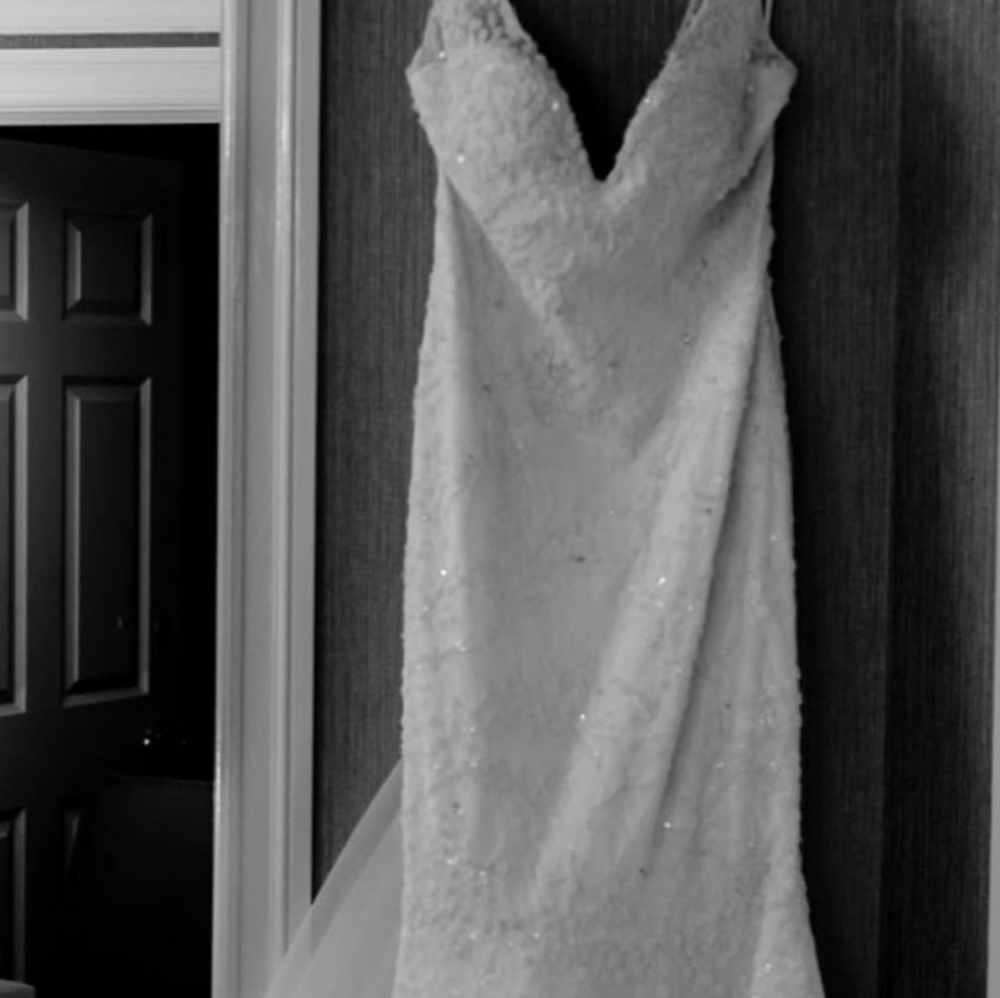 Tony Ward Nina Wedding Dress - Picture 8 of 16